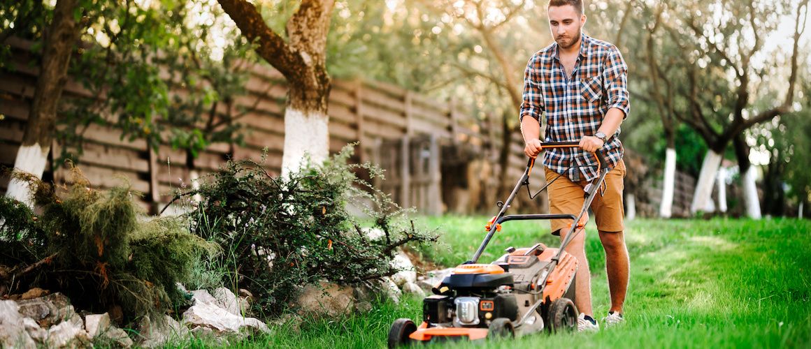 Basic Lawn Care Tips Rocket Homes
